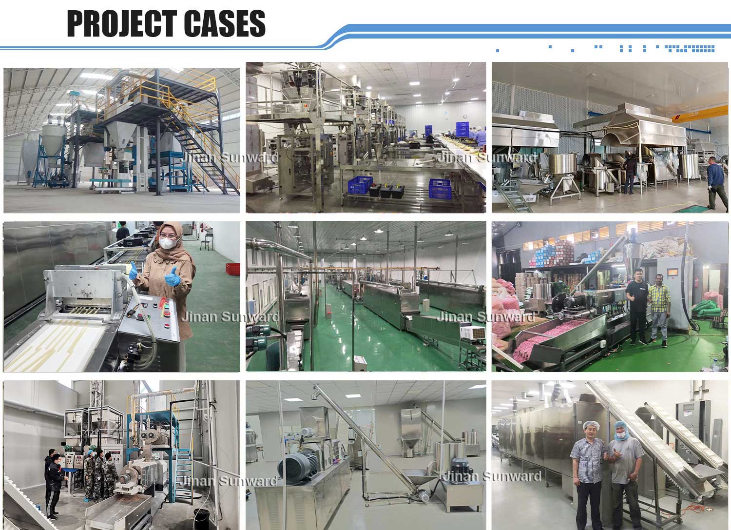 project cases