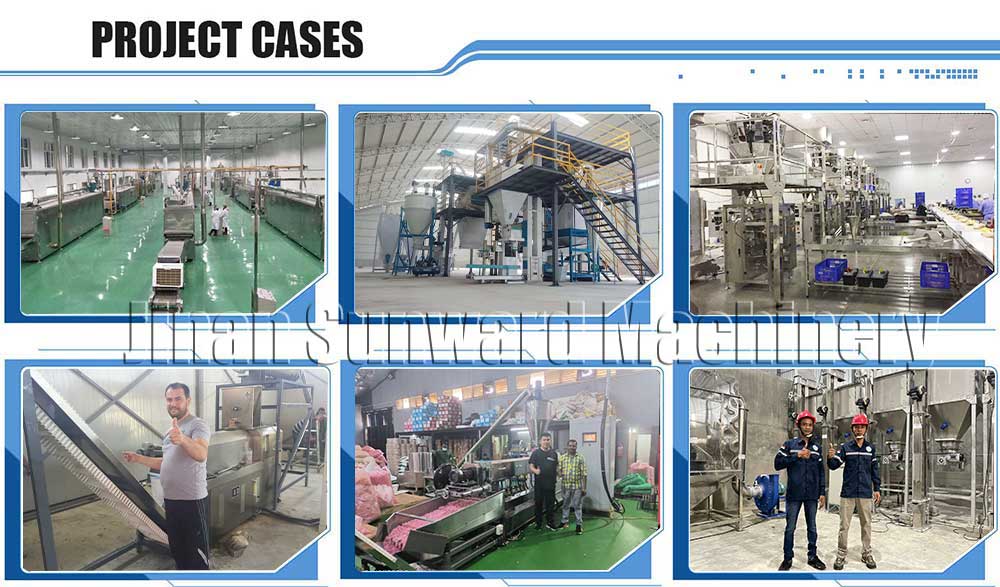 project cases